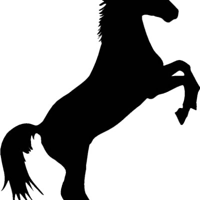 Logo LE CHEVAL NOIR