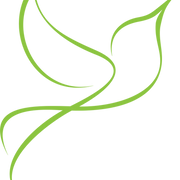 Logo LE MAS DES MIMOSAS