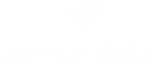Logo LEMON DATA