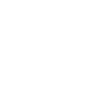 Logo LEON GROSSE ELECTRICITE - MAINTENANCE (LGEM)