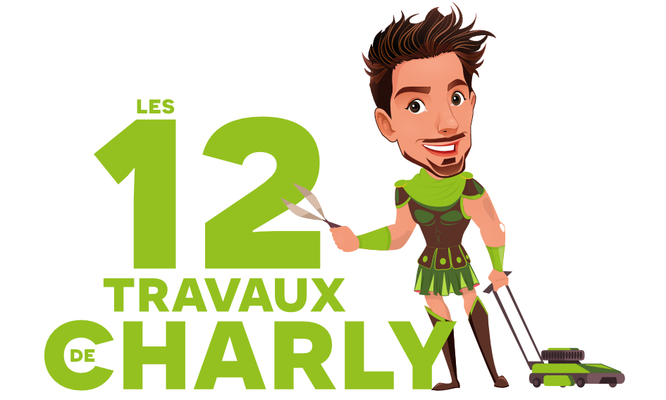 Logo LES 12 TRAVAUX DE CHARLY