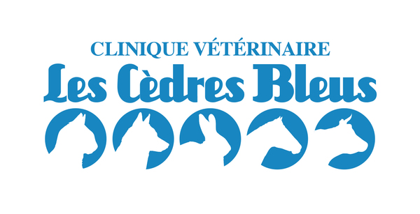 Logo LES CEDRES BLEUS