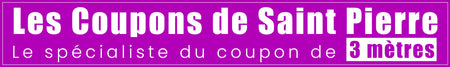 Logo LES COUPONS DE PARIS