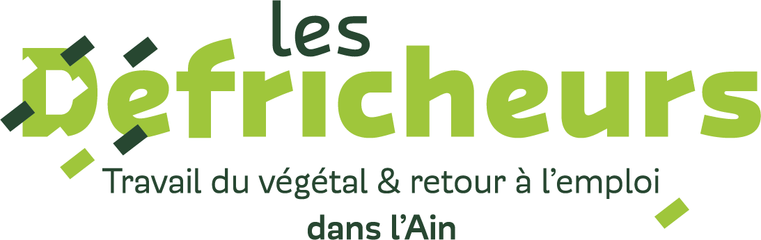 Logo LES DEFRICHEURS