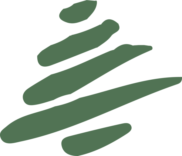 Logo LES DELICES DU LIBAN