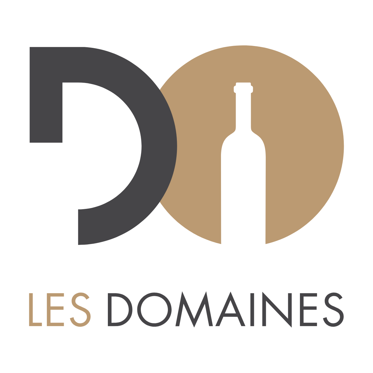 Logo LES DOMAINES NANCY