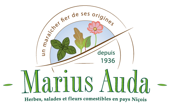 Logo LES FILS DE MARIUS AUDA