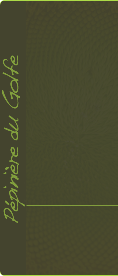 Logo LES JARDINIERS DU GOLFE