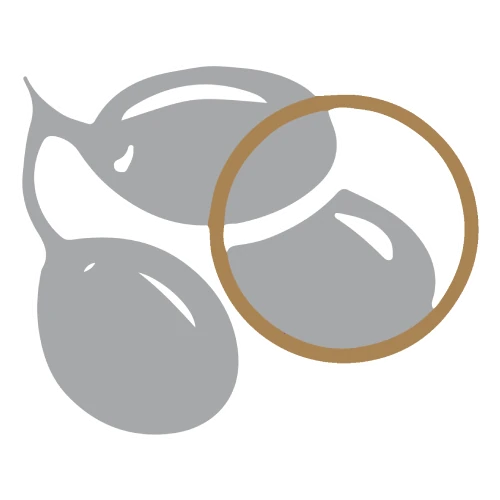 Logo LES OLIVADES (HOTEL RESTAURANT LES OLIVADES)