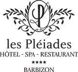 Logo LES PLEIADES