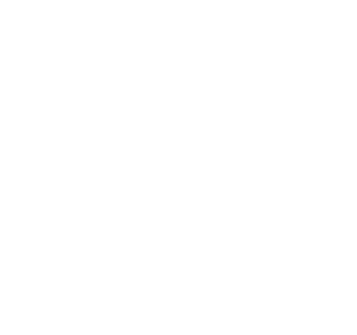 Logo LES ROCHES BRUNES
