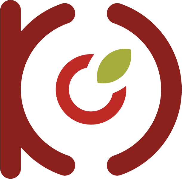 Logo LES SALAISONS DU TERROIR