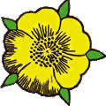 Logo LES SERRES DE BUTRY