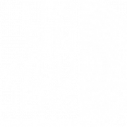 Logo LES SINGULIERS