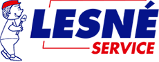 Logo LESNE SERVICE