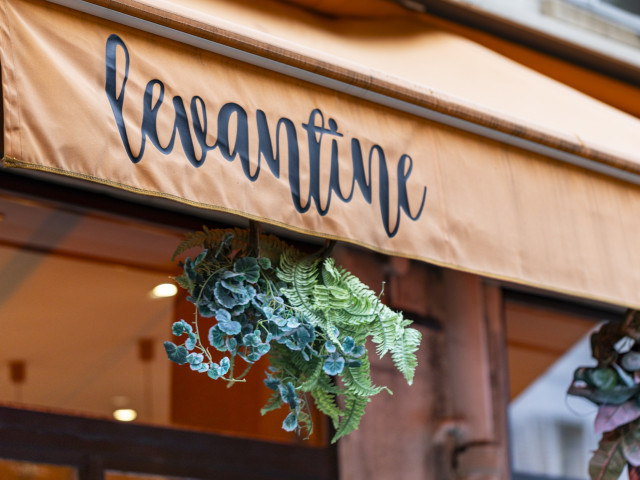 Logo LEVANTINE