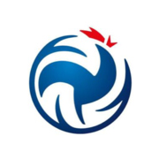 Logo LIGUE AUVERGNE RHONE-ALPES DE VOLLEY-BALL (LARAVB)