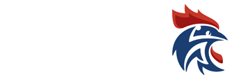 Logo LIGUE ILE DE FRANCE DE HANDBALL (LIGUE IDF HB)