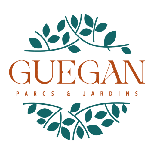 Logo LIMOUSIN-GUEGAN