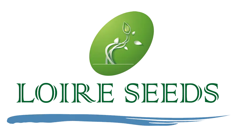 Logo LOIRE SEEDS