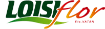 Logo LOISIFLOR SARL
