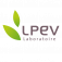 Logo LPEV