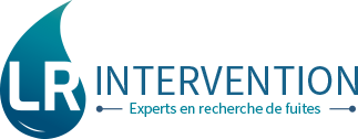 Logo LR INTERVENTION (LR INTERVENTION)