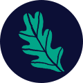 Logo LUMIERES