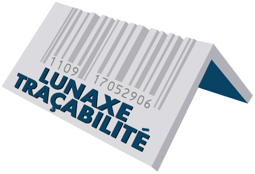 Logo LUNAXE TRA ABILITE