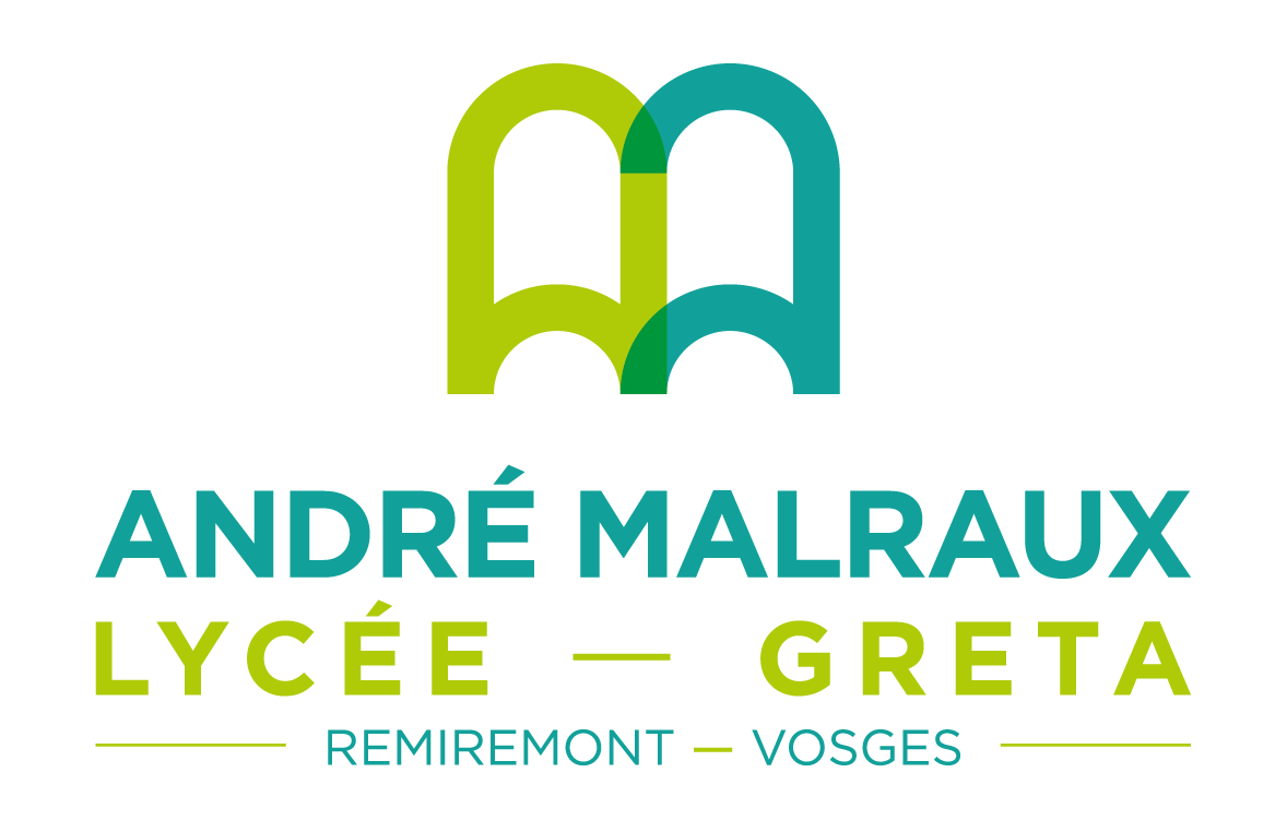 Logo LYCEE ANDRE MALRAUX - LYCEE DES METIERS DU BOIS (LPO)