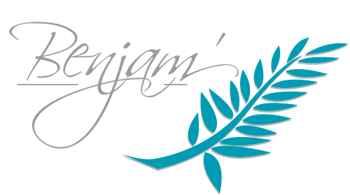 Logo LYCEE POLYVALENT BENJAMIN FRANKLIN