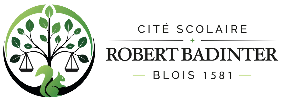 Logo LYCEE POLYVALENT INTERNATIONAL ROBERT BADINTER