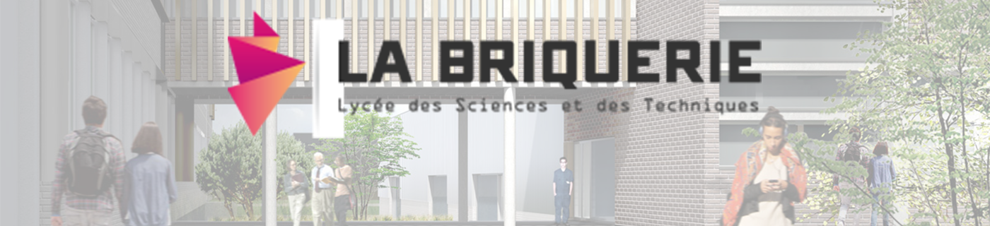 Logo LYCEE POLYVALENT LA BRIQUERIE