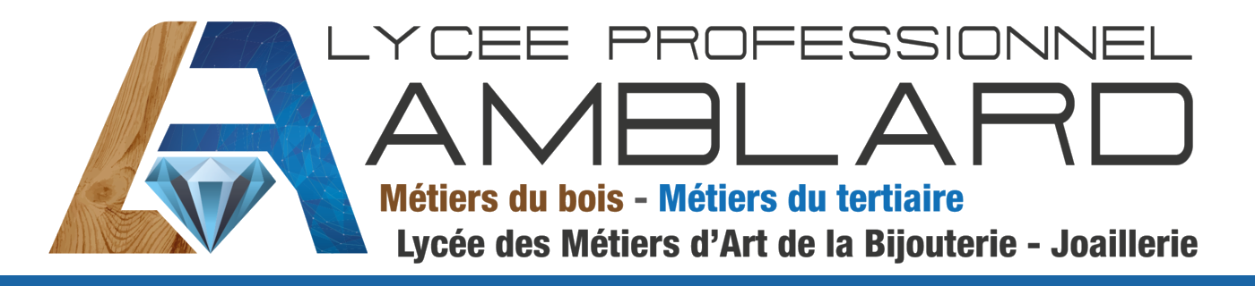 Logo LYCEE PROFESSIONNEL AMBLARD - LYCEE DES METIERS D'ART DE LA BIJOUTERIE-JOAILLERIE (LP)