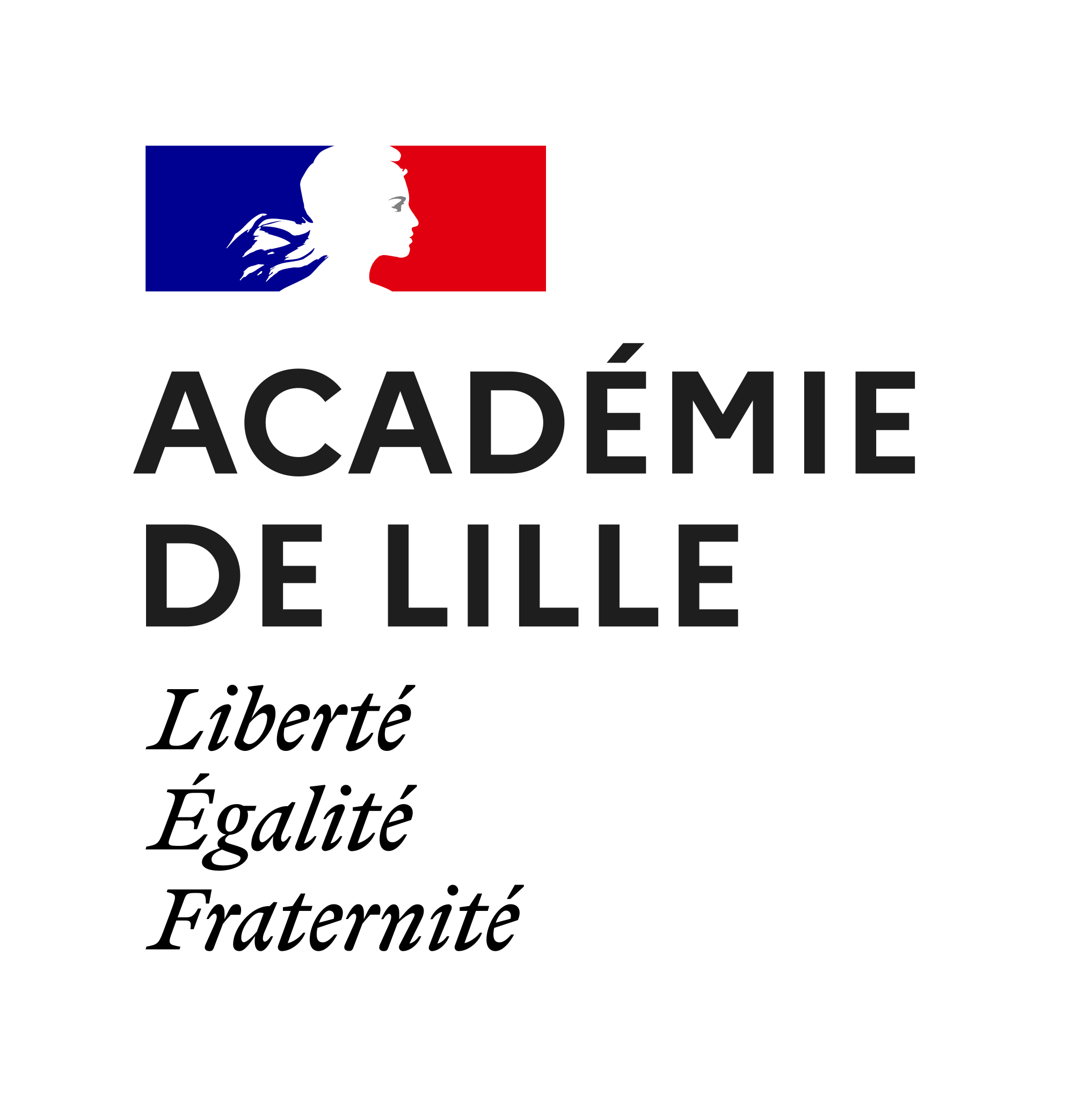 Logo LYCEE PROFESSIONNEL ANDRE MALRAUX