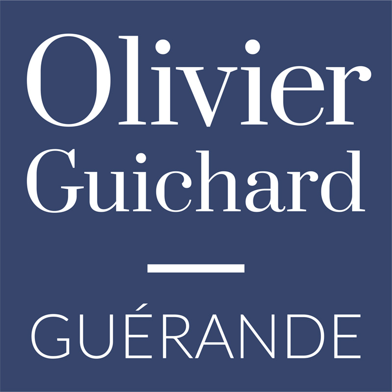 Logo LYCEE PROFESSIONNEL OLIVIER GUICHARD