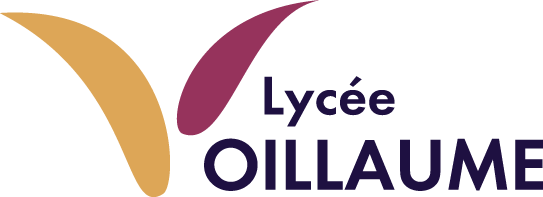 Logo LYCEE PROFESSIONNEL VOILLAUME (LP)