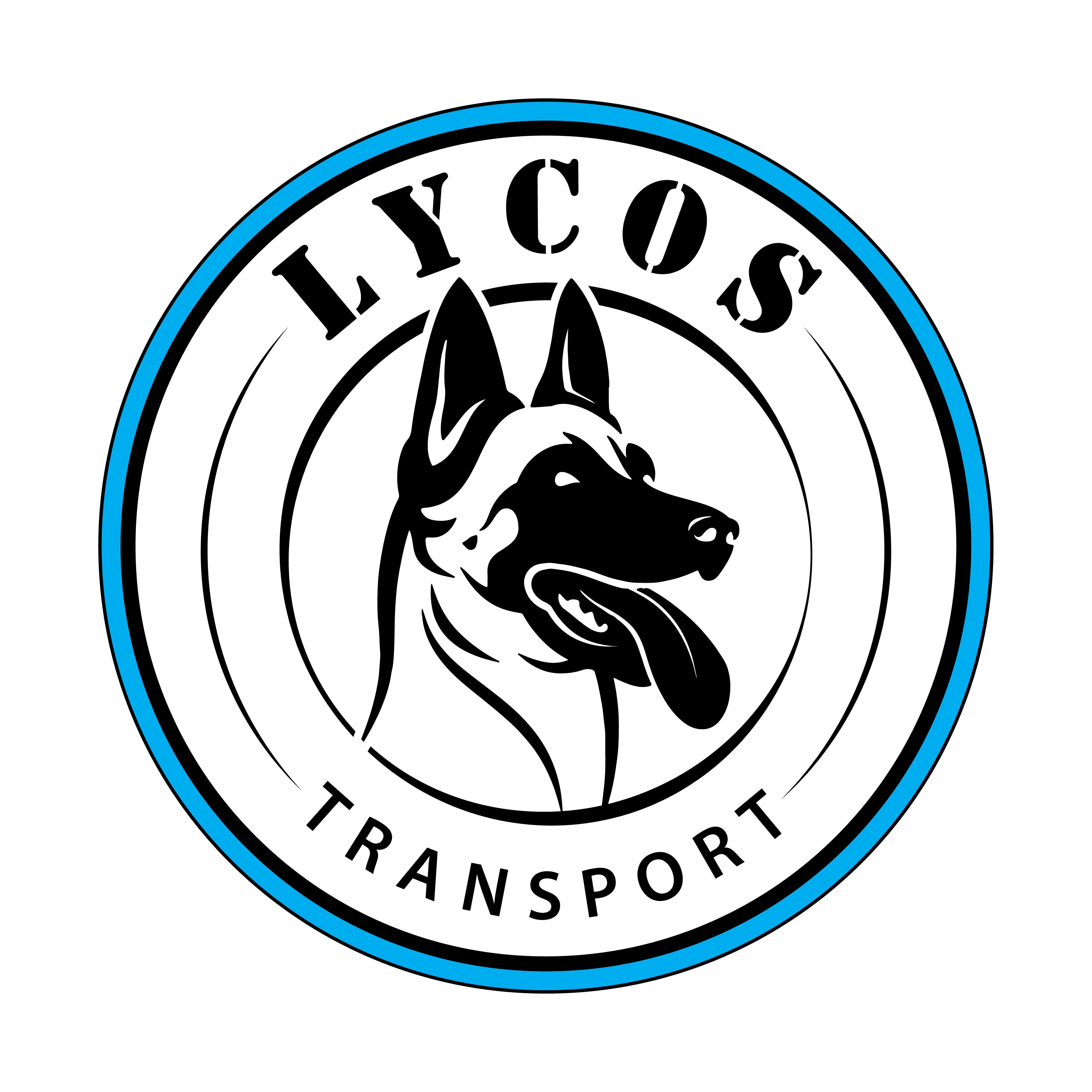 Logo LYCOS