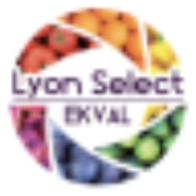 Logo LYON SELECT