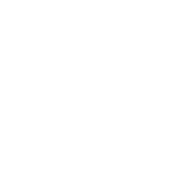 Logo LYON SERTI