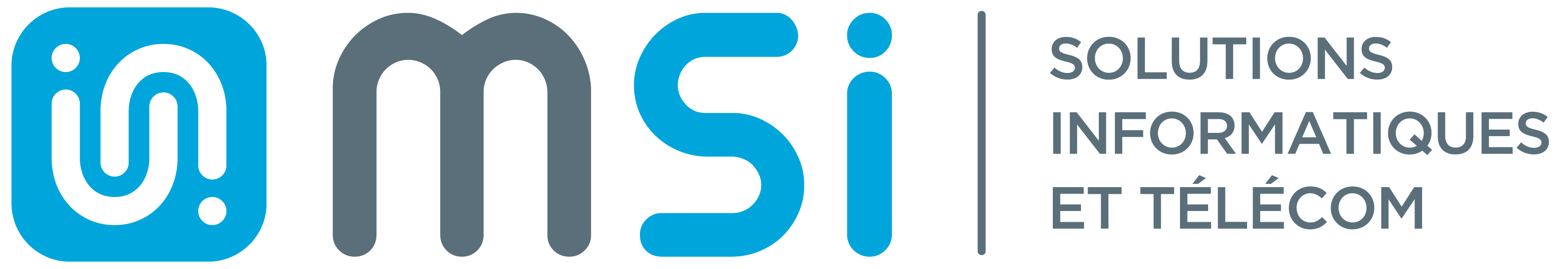 Logo M.S.I