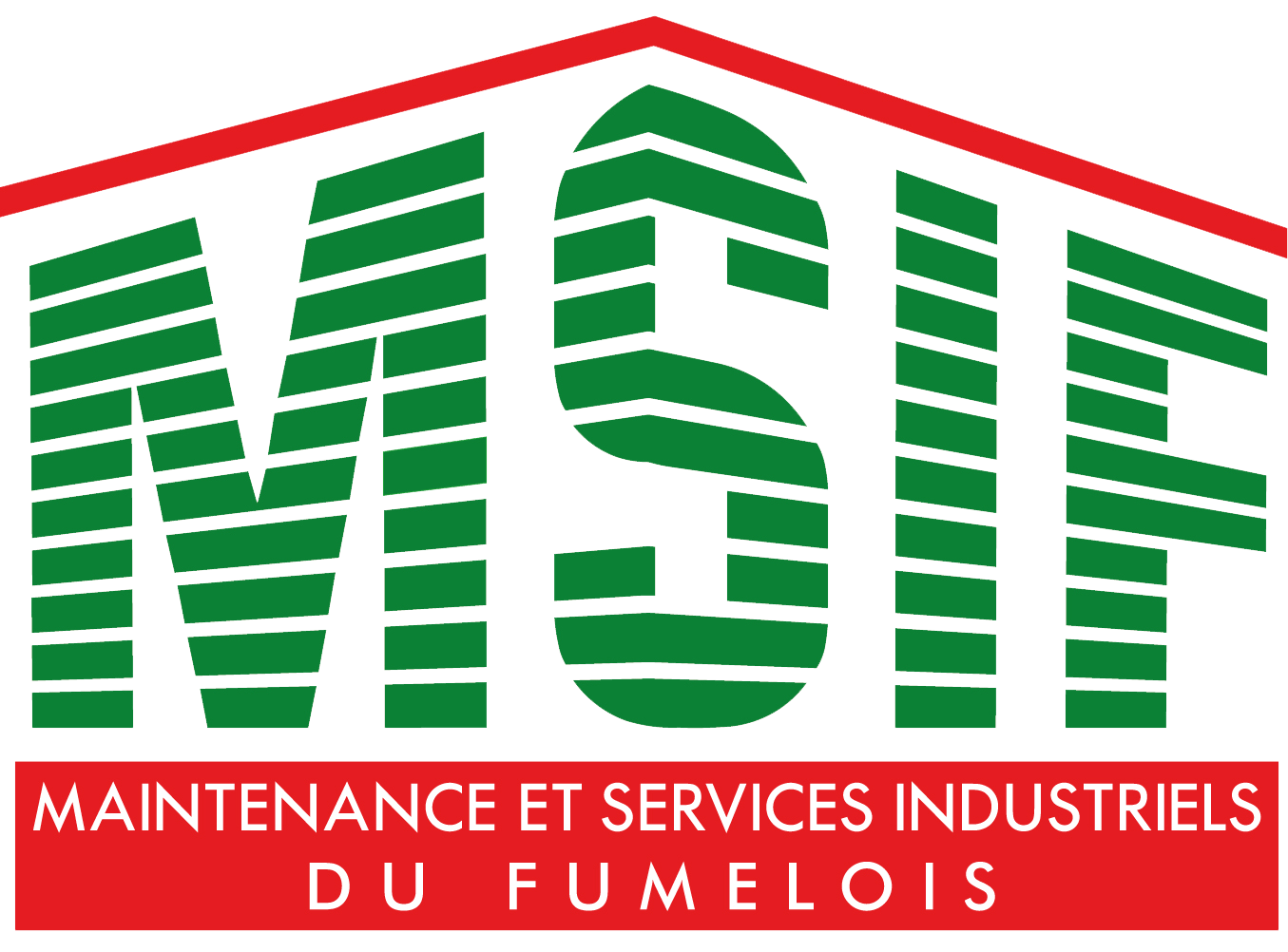 Logo M S I F