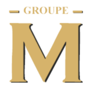 Logo M SECURITE (M SECURITE)
