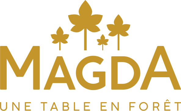 Logo MAGDA