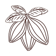 Logo MAISON DU CACAO