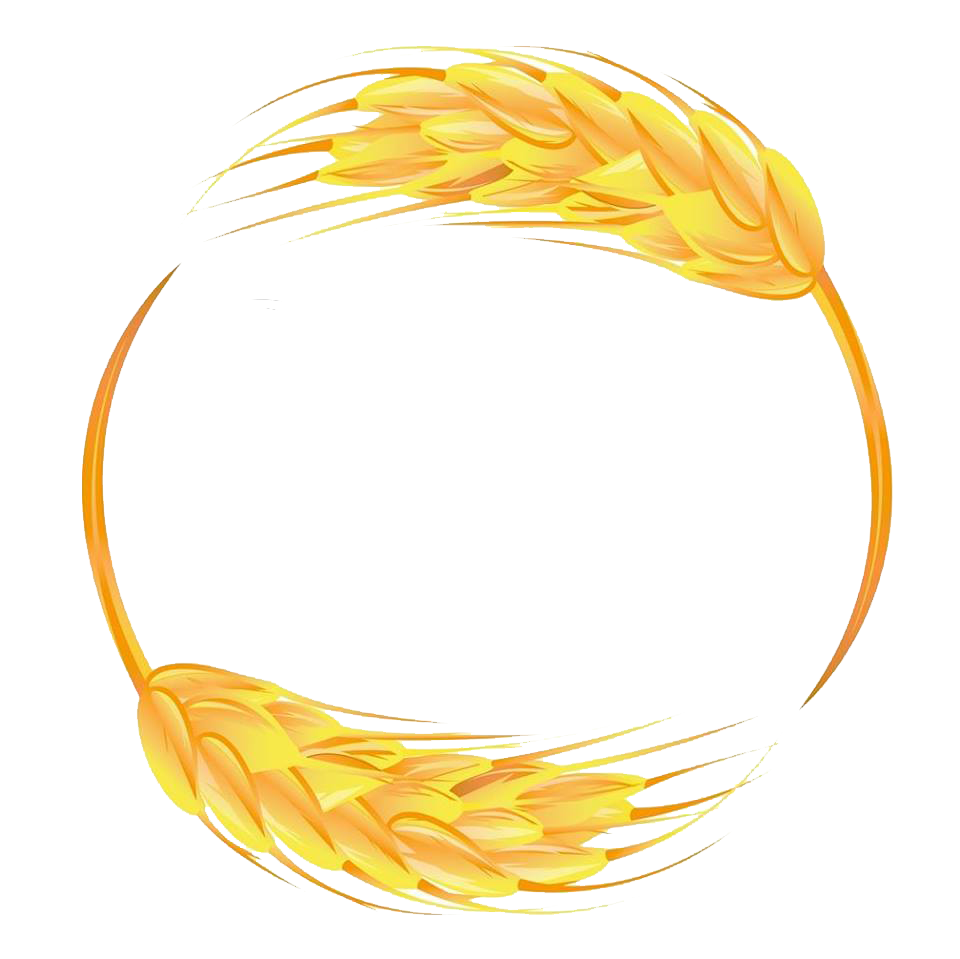 Logo MAISON ROUCHET (MAISON ROUCHET)