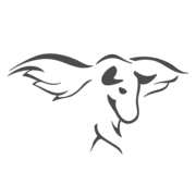 Logo MAISONNEUVE CITERNE