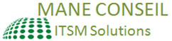 Logo MANE CONSEIL
