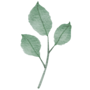 Logo MARGOT