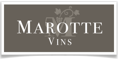 Logo MAROTTE